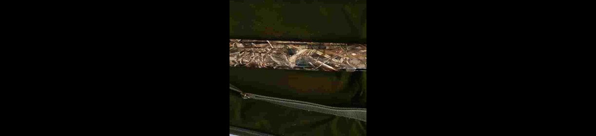 Охотничье руже ATA ARMS Neo 12R, кал 12*76