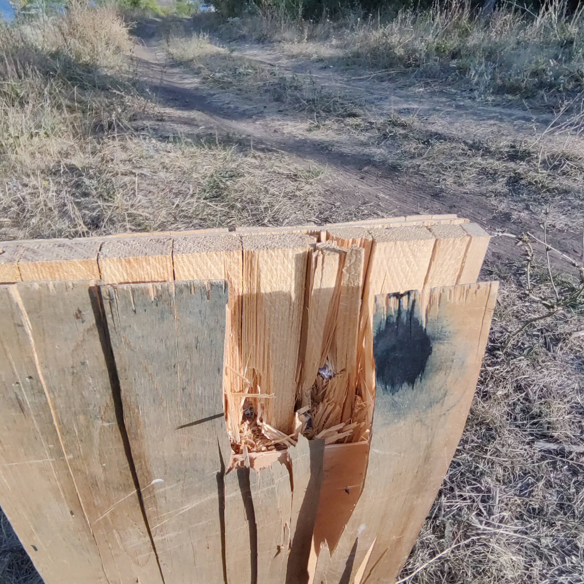 Kral Puncher Maxi 3 Nemesis PCP bull-pup .25cal (6.35mm)