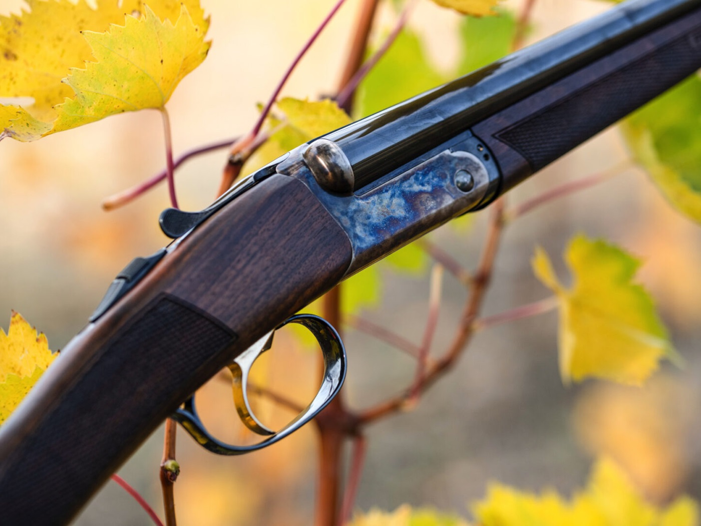 Ружье Franchi 20x76 Esprit 680мм