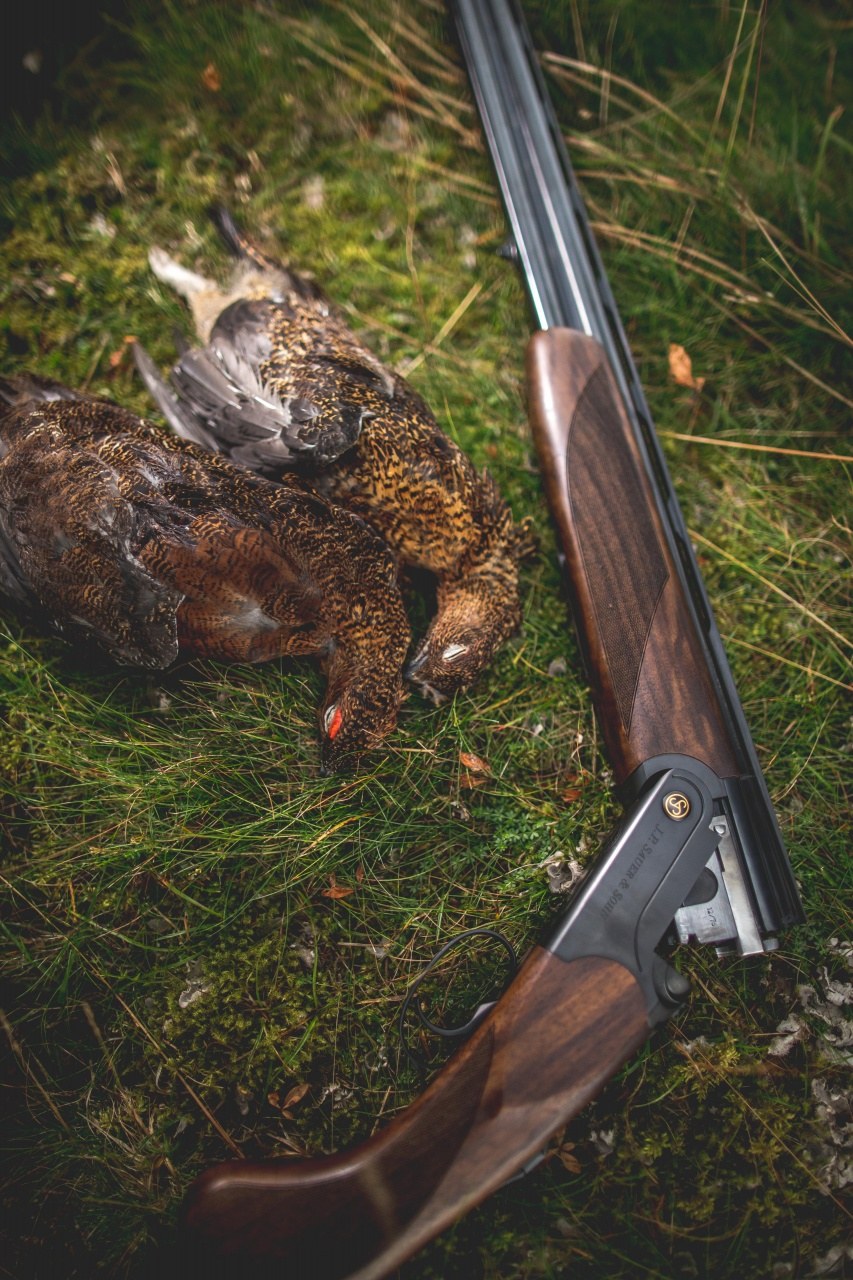МП Ружье Sauer Artemis кал.20/76 710 мм